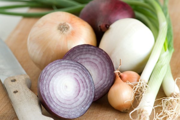 Рабочие ссылки тор bs onion info