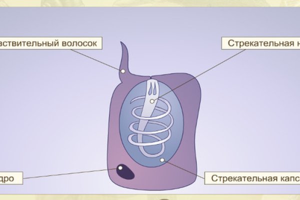 Логин пароль blacksprut 1blacksprut me