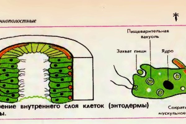 Блэк спрут ссылка клаб