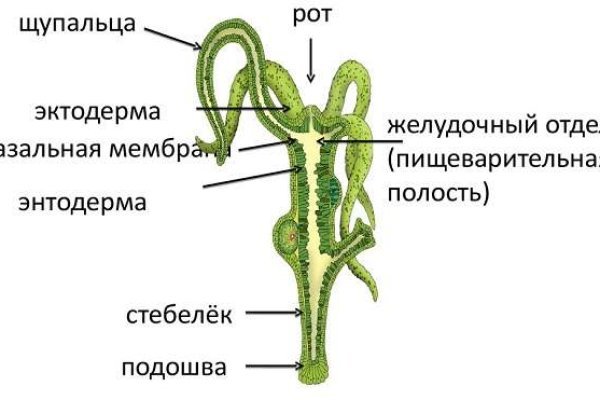 Bs gl официальный сайт