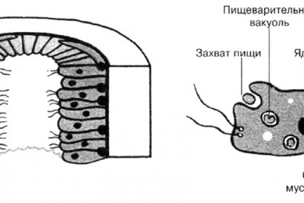 Как зайти на блэк спрут с айфона